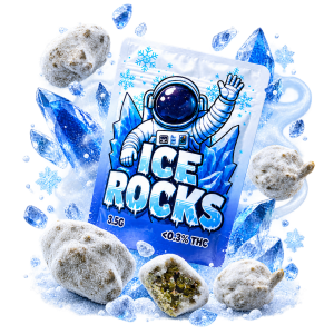 SnowBalls ΔLAB-THC – 72% | Infusées Grade AAAA