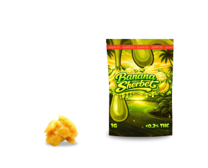 THCA Live Rosin Banana Sherbet – 80.24% | Extrait naturellement