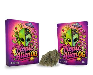 Fleur THCA Tropic Alien OG – 28,63% | Naturelle Exotik, Grade AAAA+++
