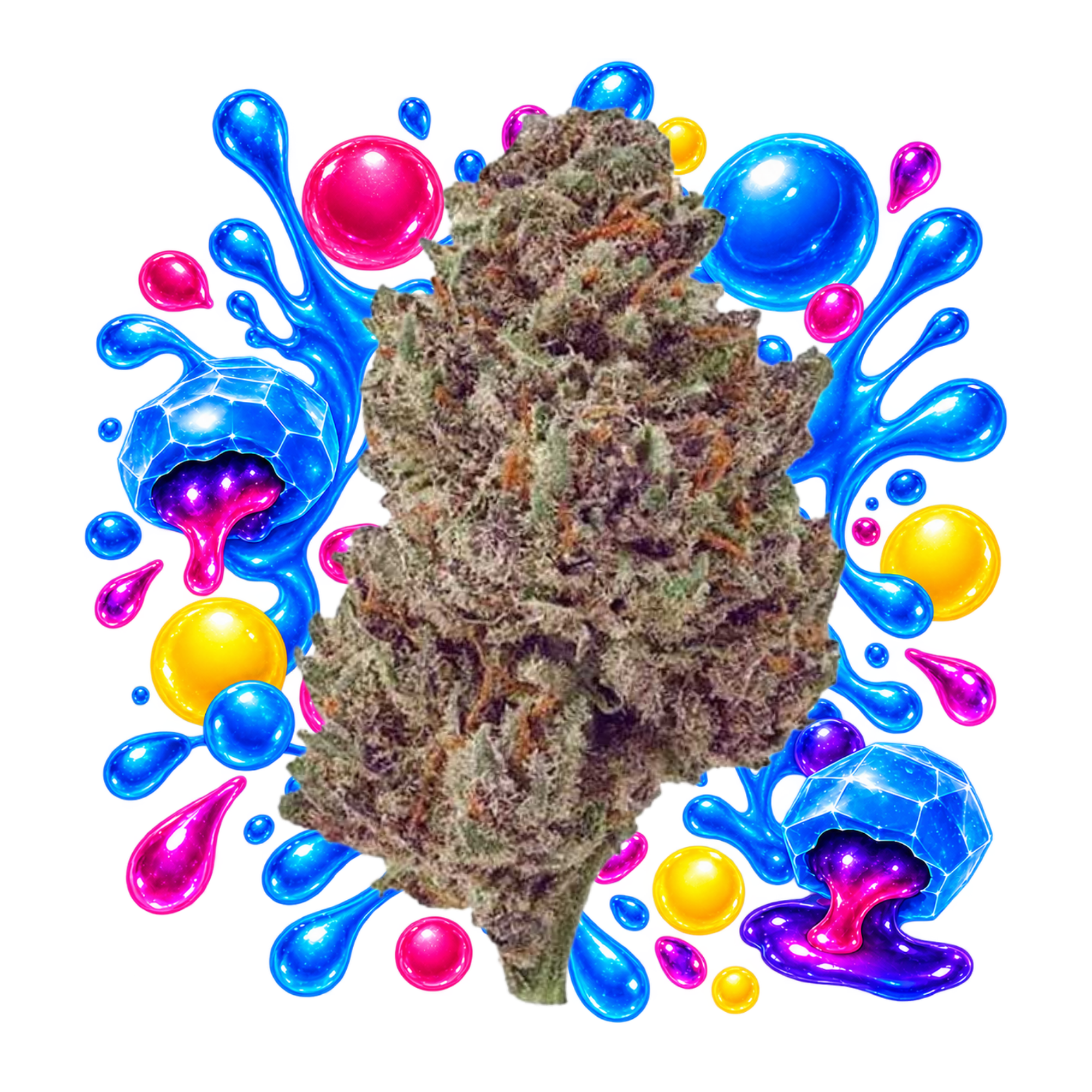 Fleur CBD Blue Gushers Delta Lab à l’aspect dense, résineux et aux teintes vertes et violettes
