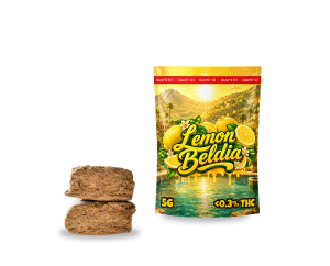 Hash THCA Lemon Beldia – 31,12% | Naturel Grade AAAA+