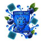 Emballage de gummies THC 50 mg Blueberry Delta Lab au goût myrtille